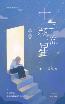 我的第十三颗流星