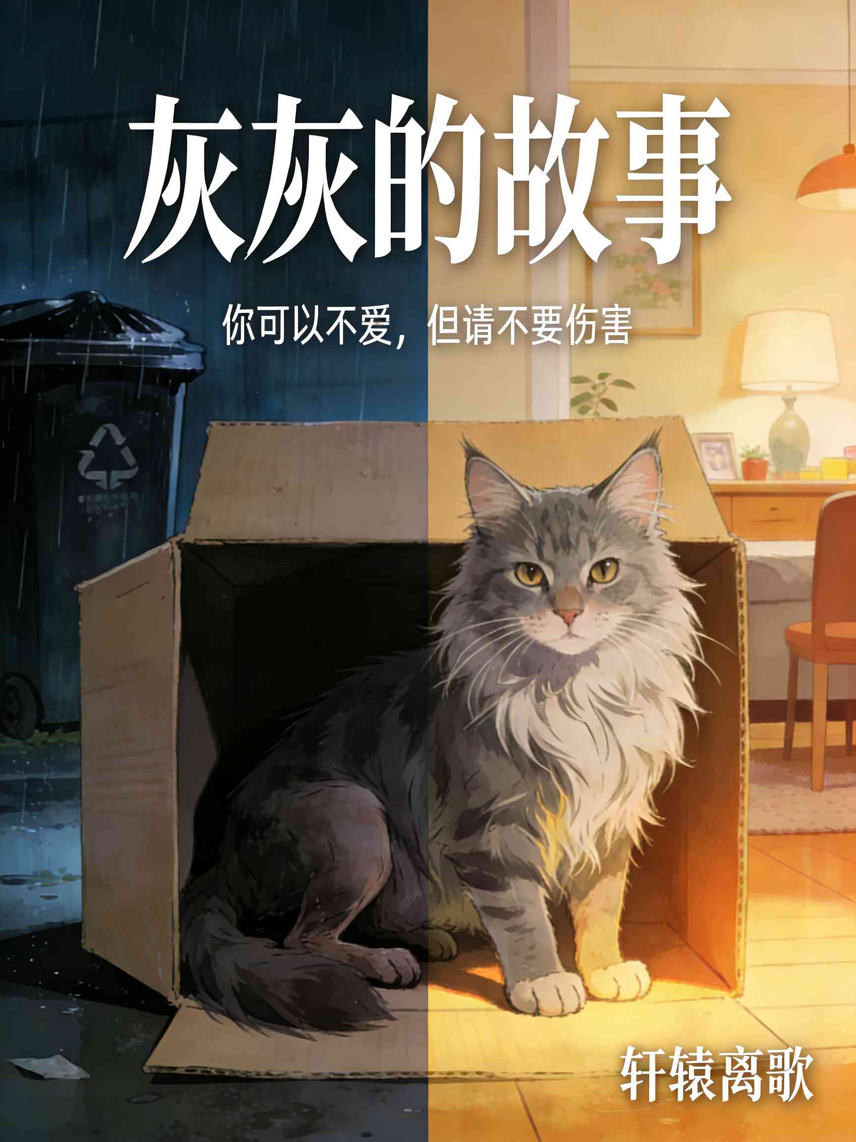 灰灰的故事