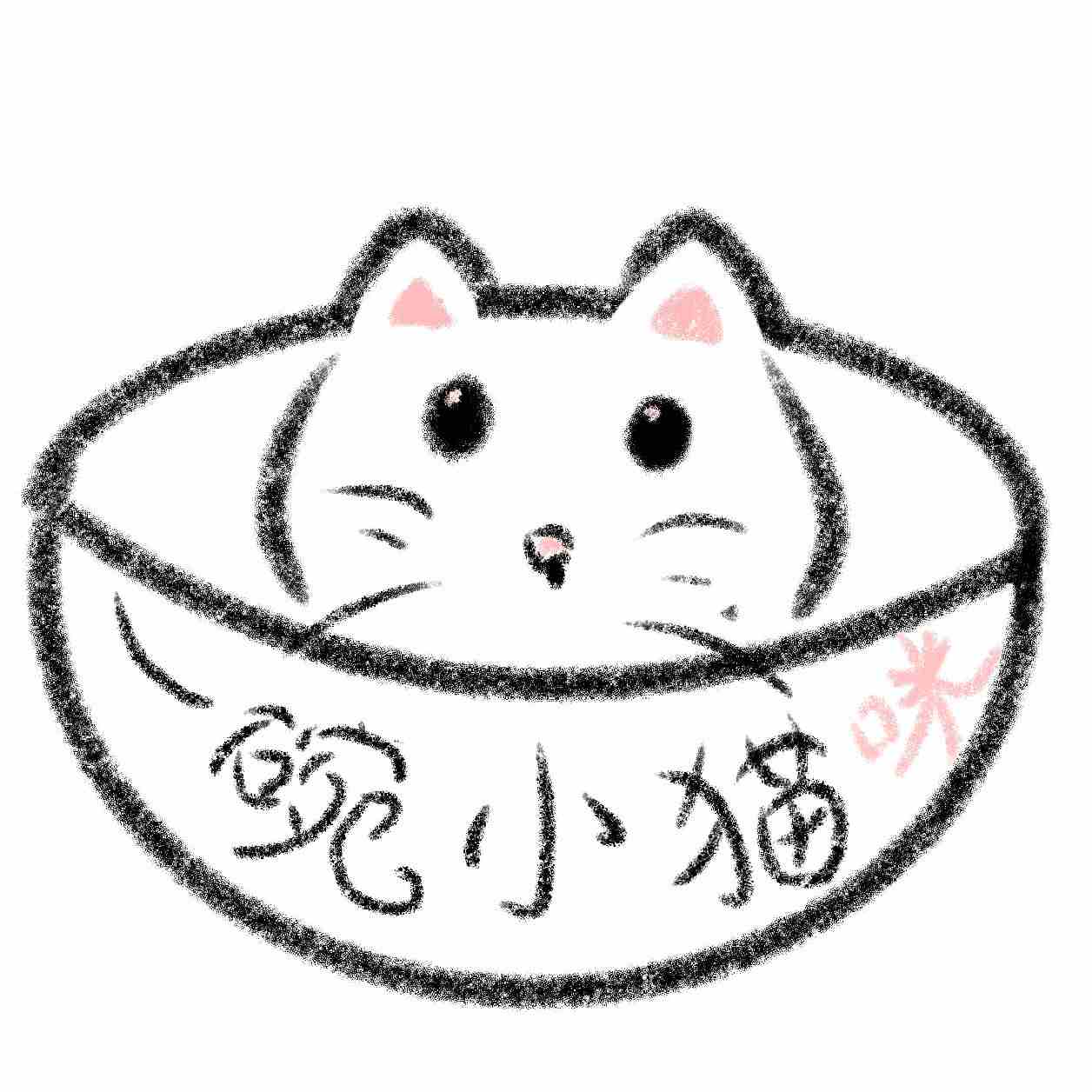 一碗小猫咪