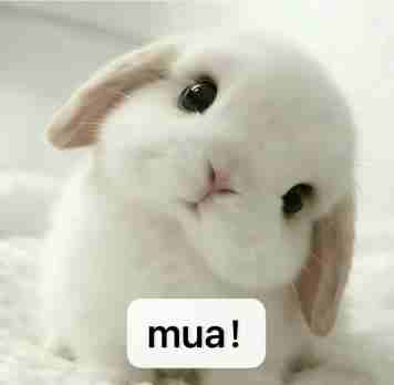 小兔子乖乖