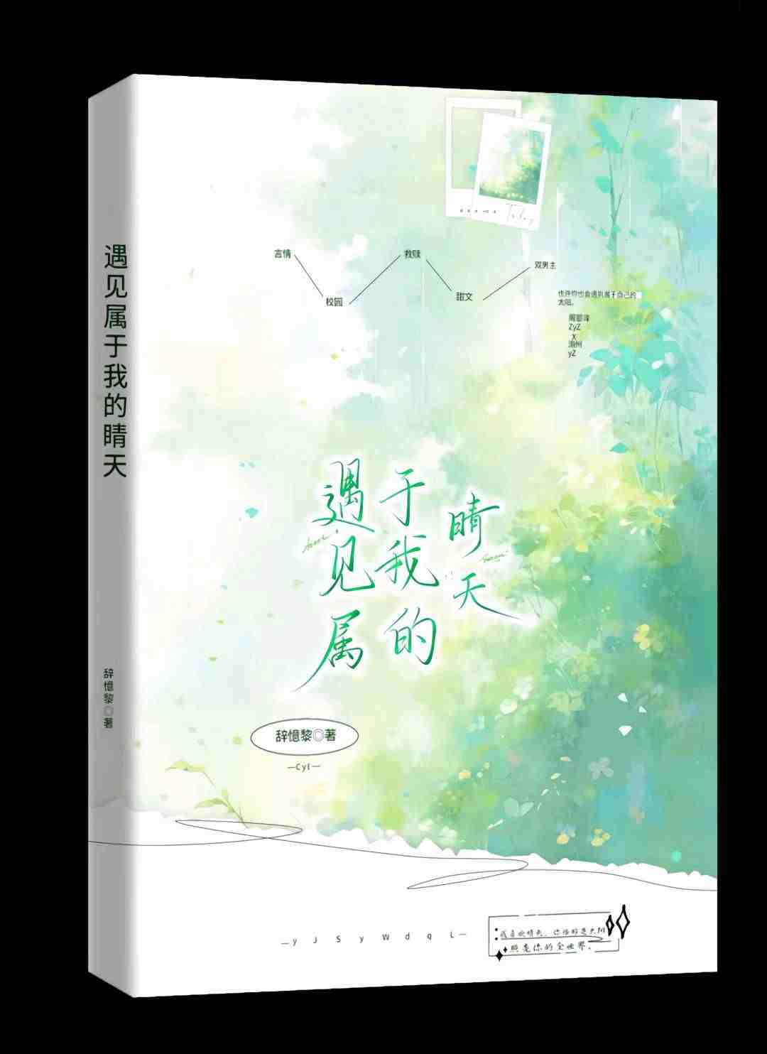 遇见属于我的晴天