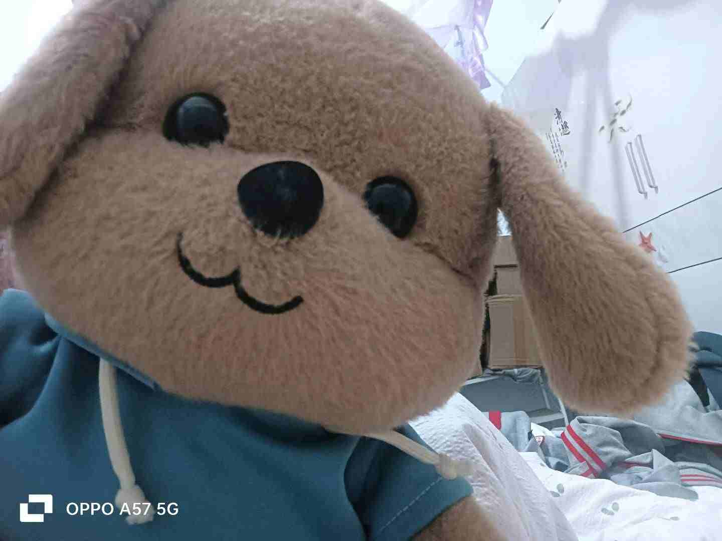 爱吃巧克力的小红薯