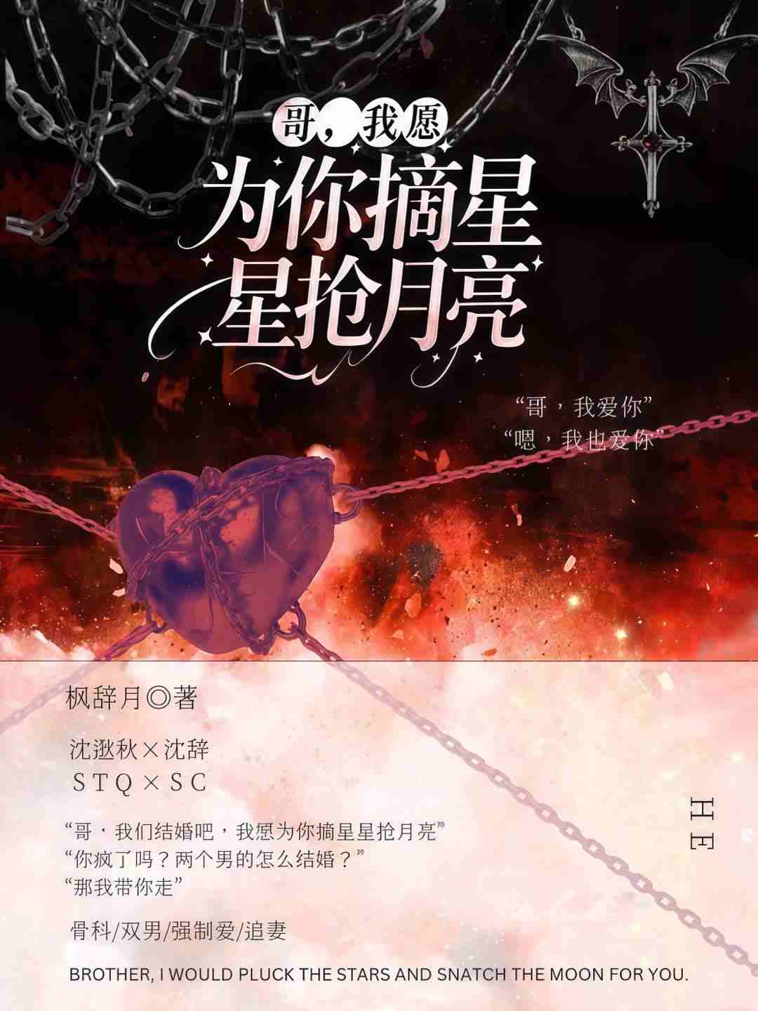 哥，我愿为你摘星星抢月亮