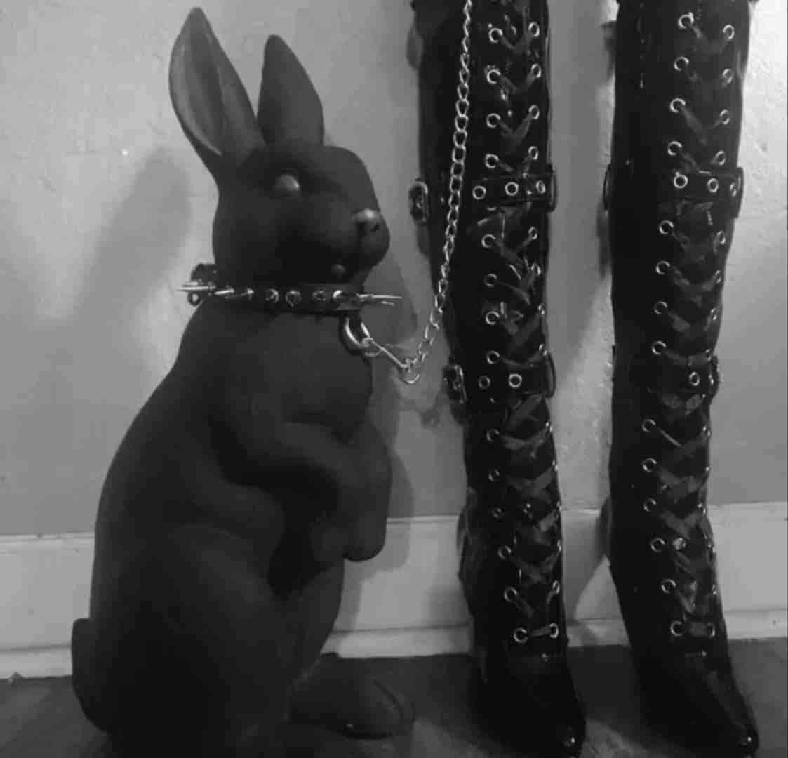 钰子兔（emoji）