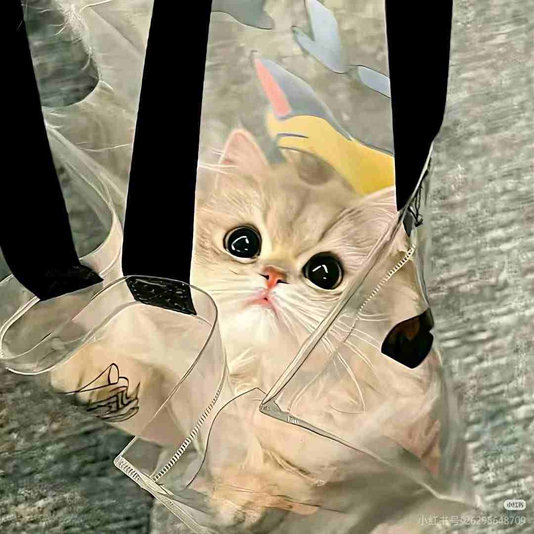 作者头像