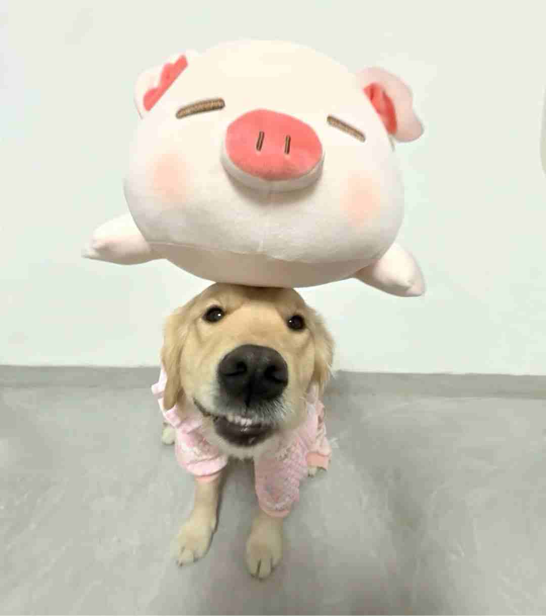陈方南