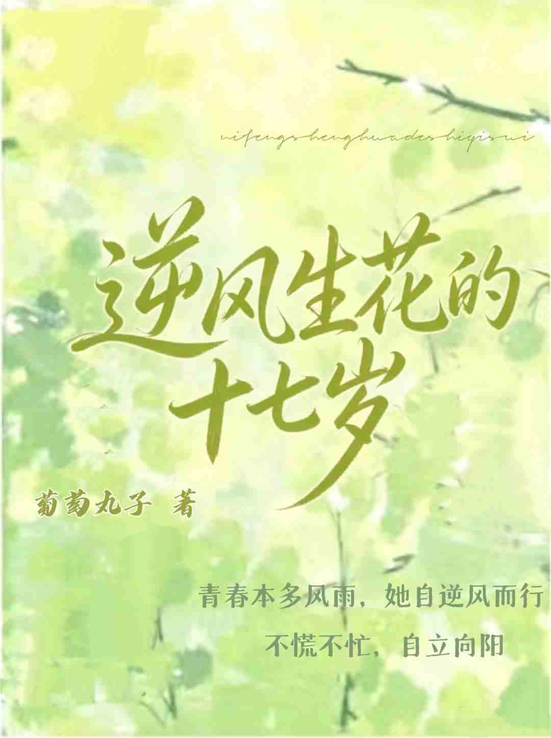 逆风生花的十七岁