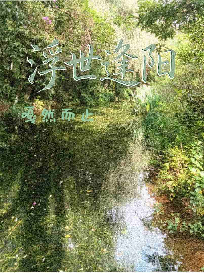 浮世逢阳