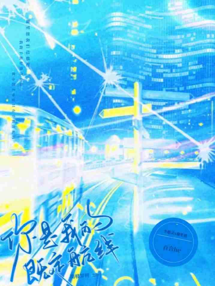 你是我的既定航线
